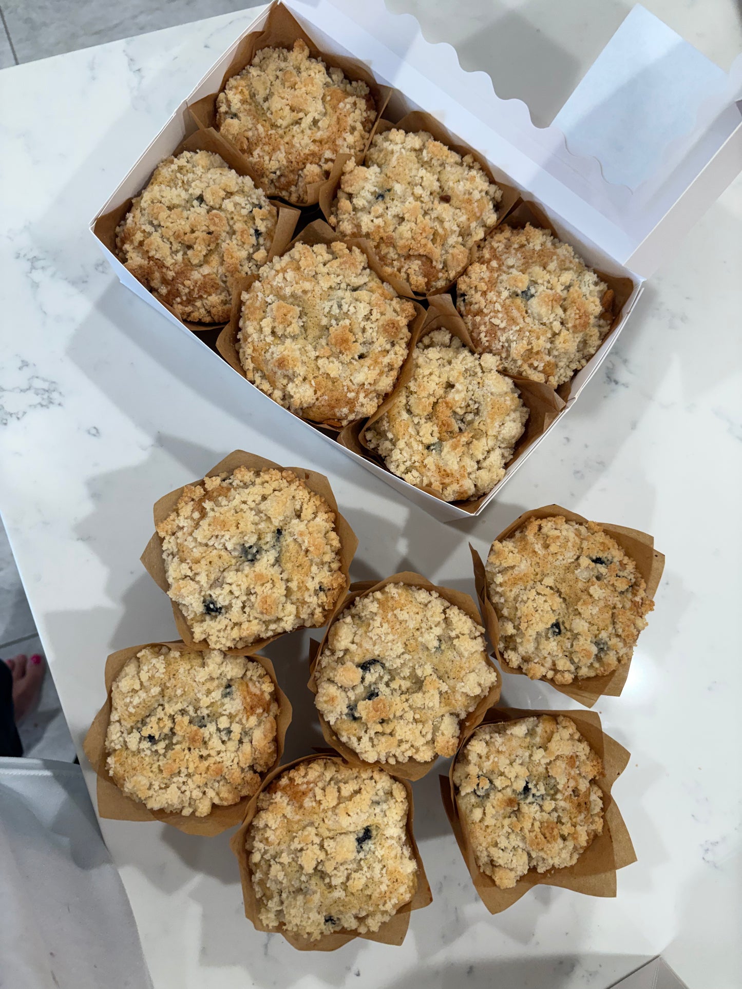 6-Pack of Blueberry Lemon Sourdough Muffins