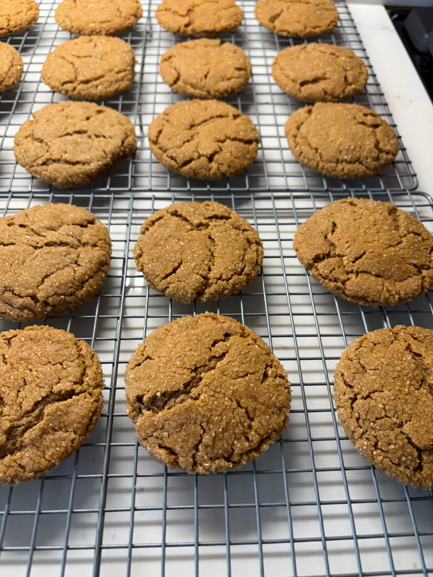Ginger Molasses Chewies