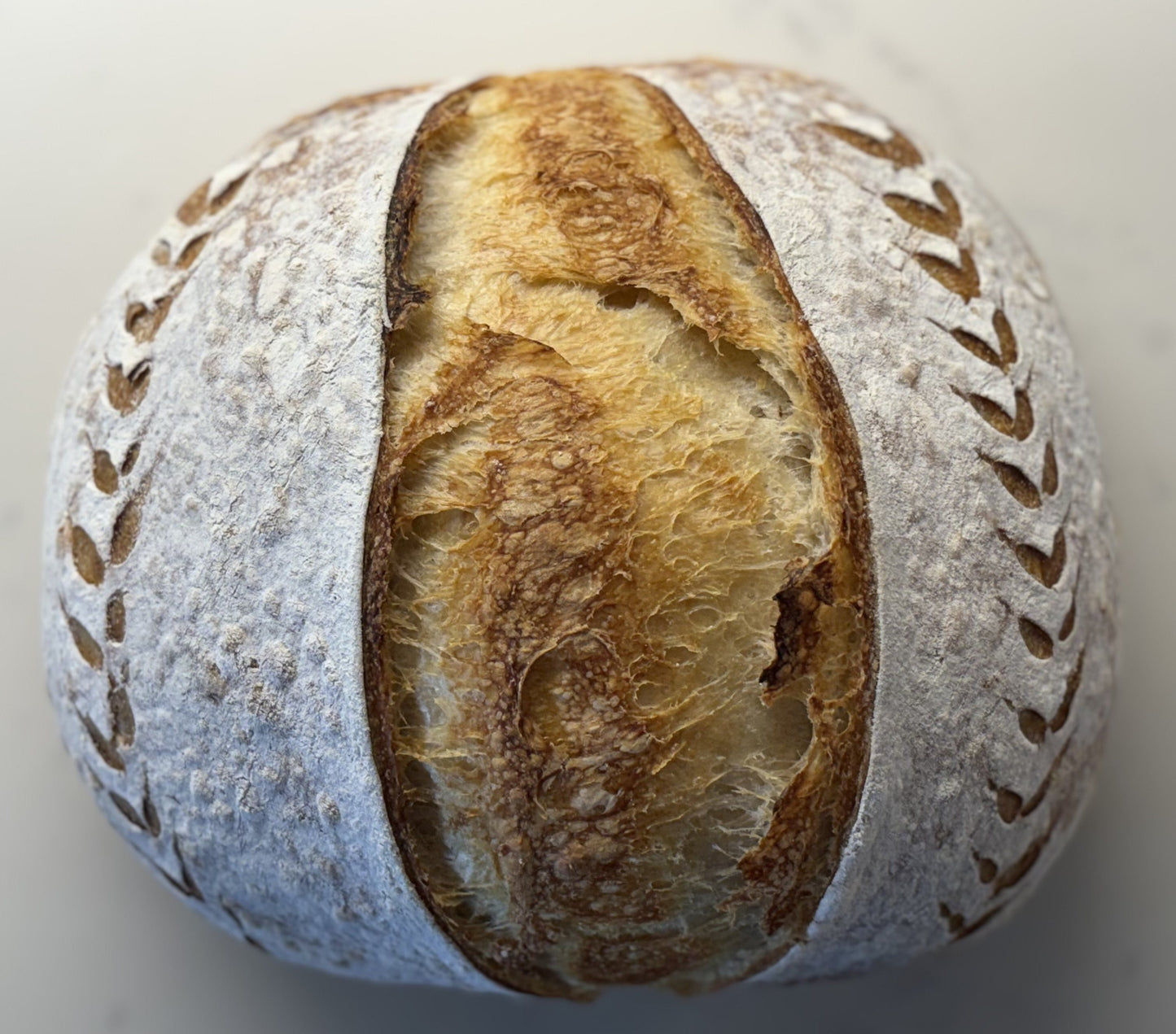 Plain Sourdough Loaf