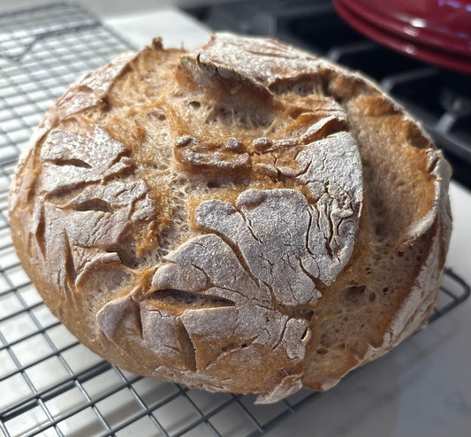 Gluten Free Sourdough Bread