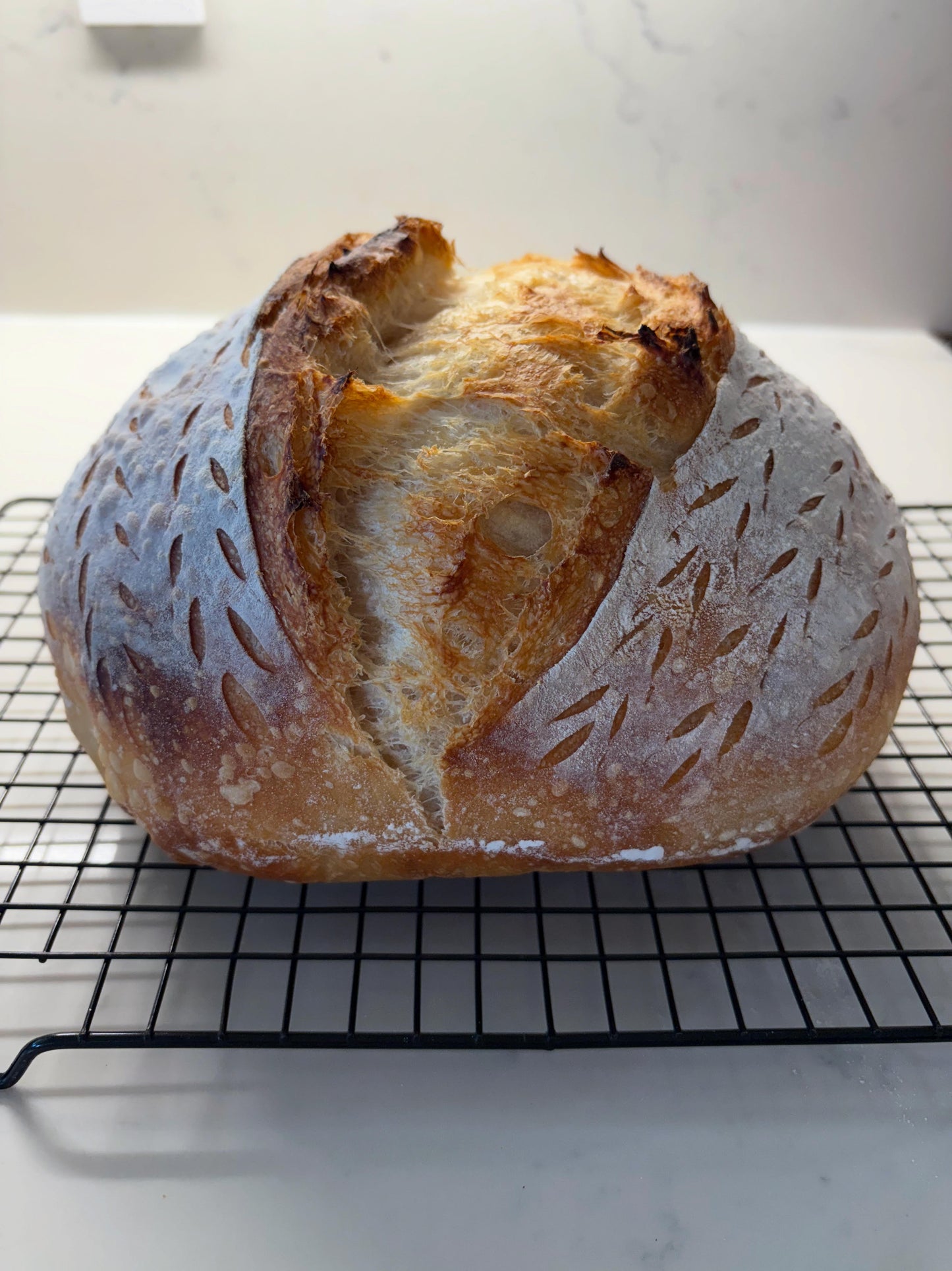 Plain Sourdough Loaf